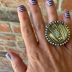 Fun Ring! With stretch band! 🐯